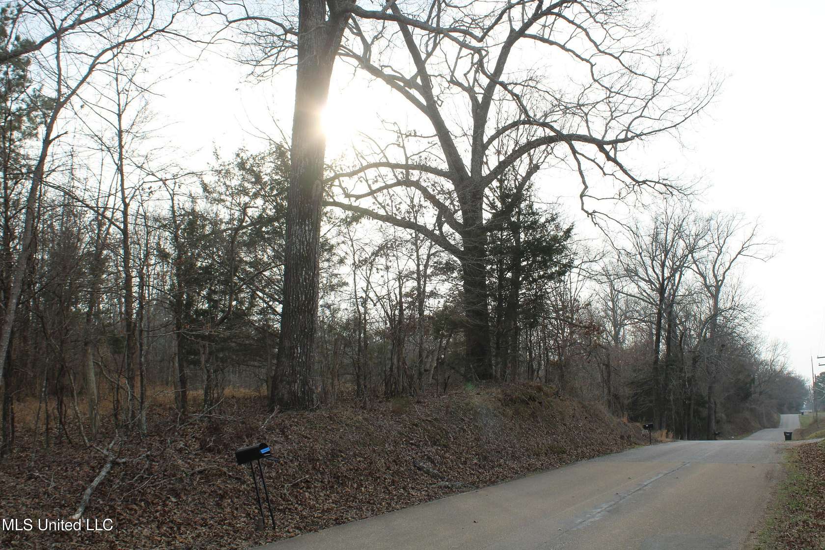 7.82 Acres of Residential Land for Sale in Holly Springs, Mississippi