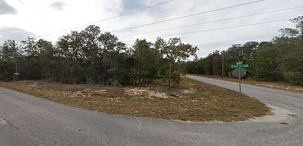 0.32 Acres of Residential Land for Sale in Ocklawaha, Florida