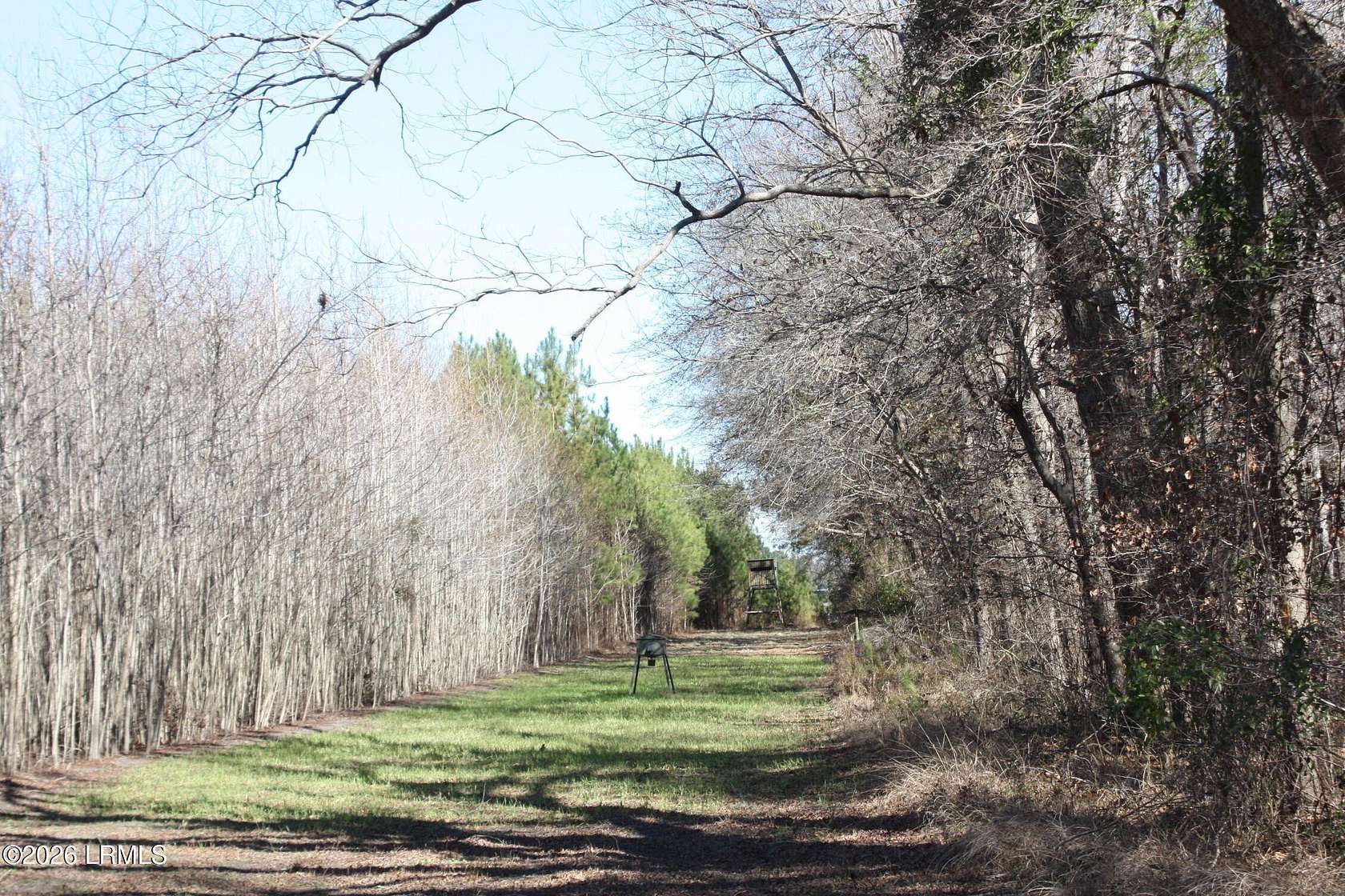 50.4 Acres of Land for Sale in Brunson, South Carolina