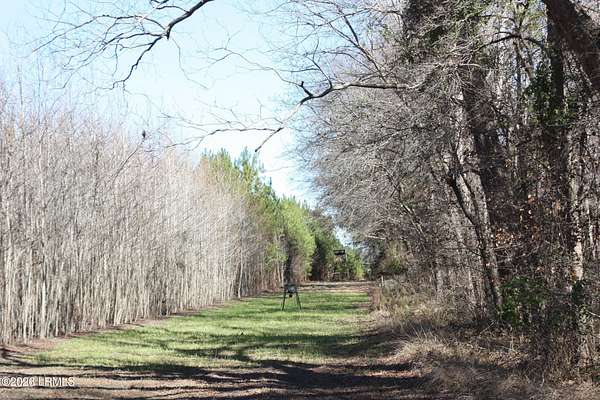 50.4 Acres of Land for Sale in Brunson, South Carolina