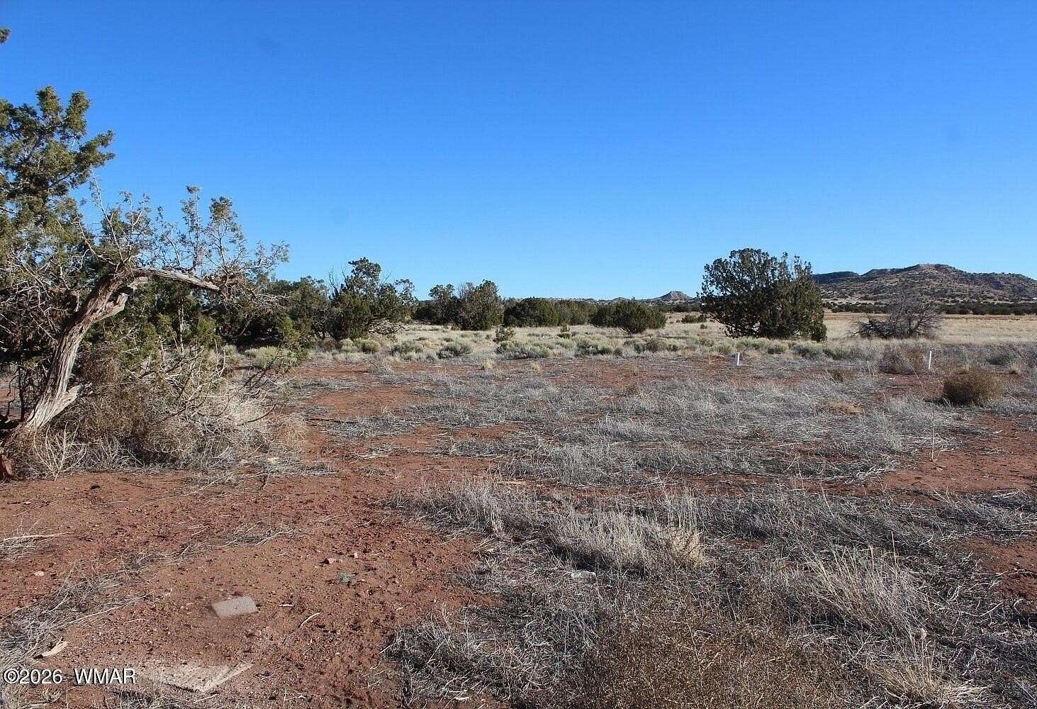 36.2 Acres of Recreational & Residential Land for Sale in St. Johns, Arizona