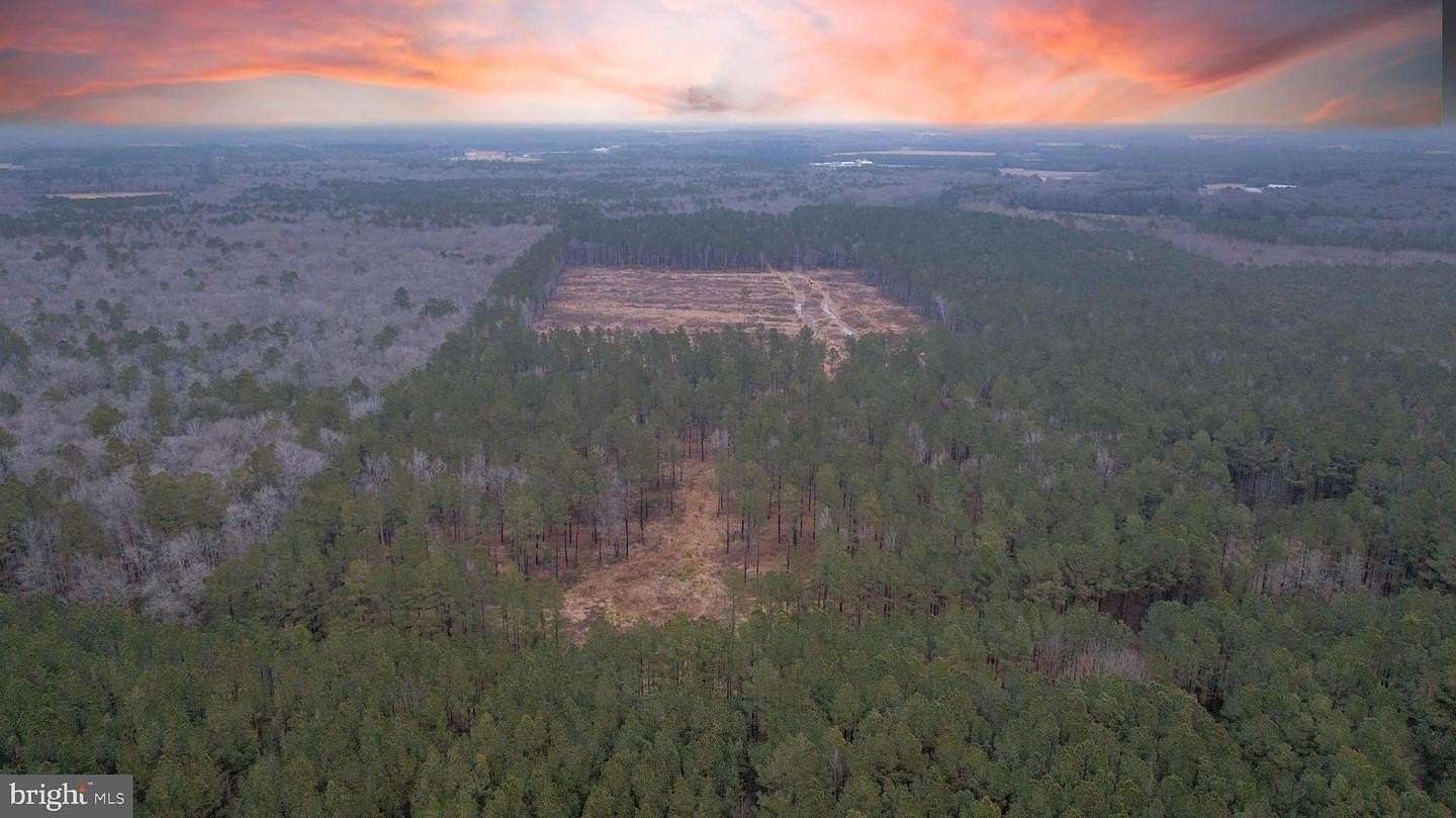 64.3 Acres of Land for Sale in Millsboro, Delaware