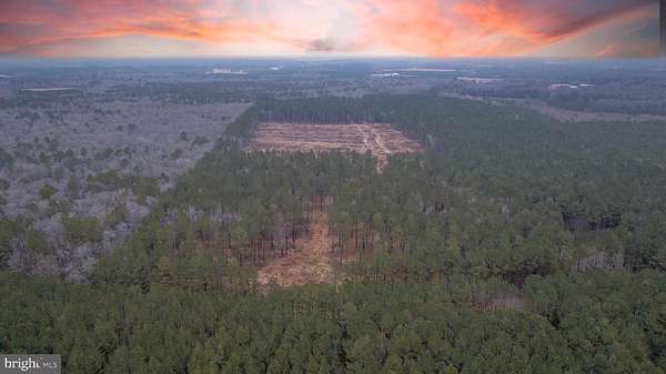 64.3 Acres of Land for Sale in Millsboro, Delaware