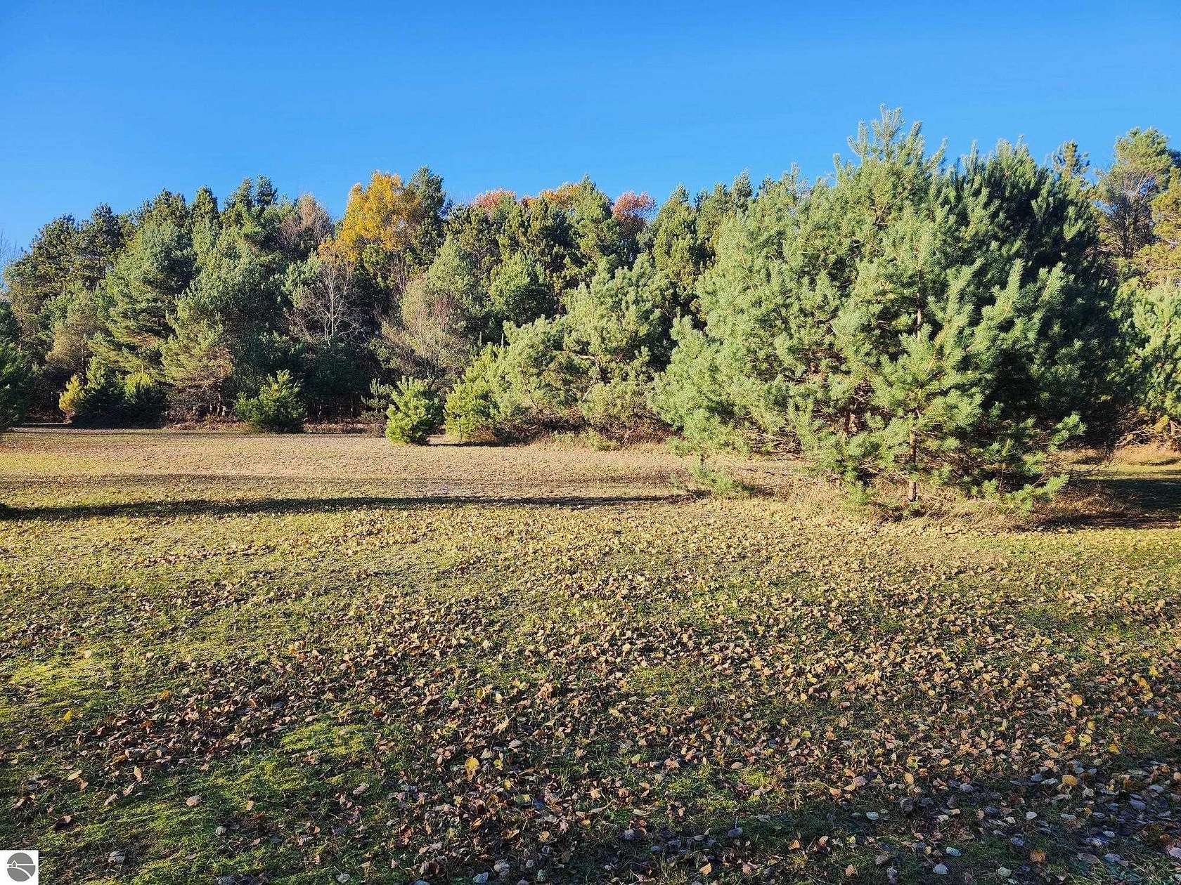 16.5 Acres of Recreational & Residential Land for Sale in Kaleva, Michigan