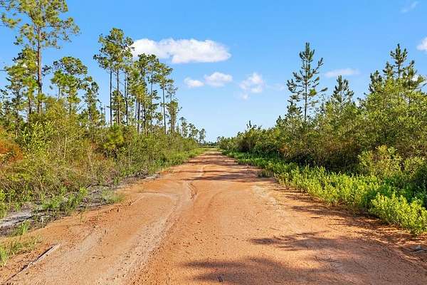10 Acres of Recreational & Residential Land for Sale in Fountain, Florida