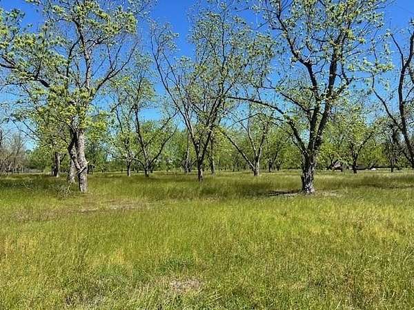 18.7 Acres of Land for Sale in Naylor, Georgia