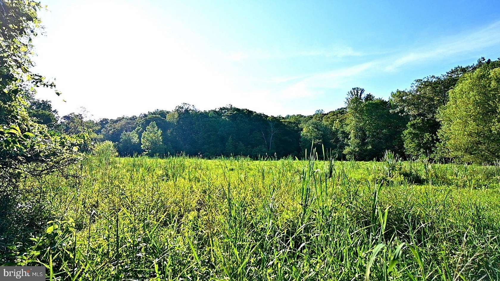 101 Acres of Recreational & Residential Land for Sale in Aquasco, Maryland