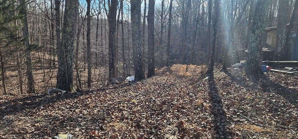 0.34 Acres of Residential Land for Sale in Holladay, Tennessee