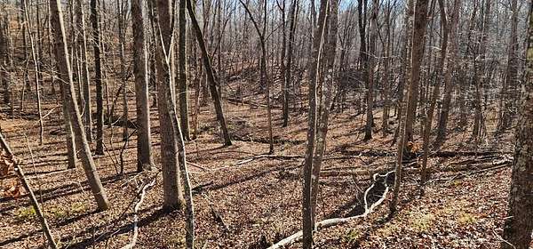 0.58 Acres of Residential Land for Sale in Holladay, Tennessee