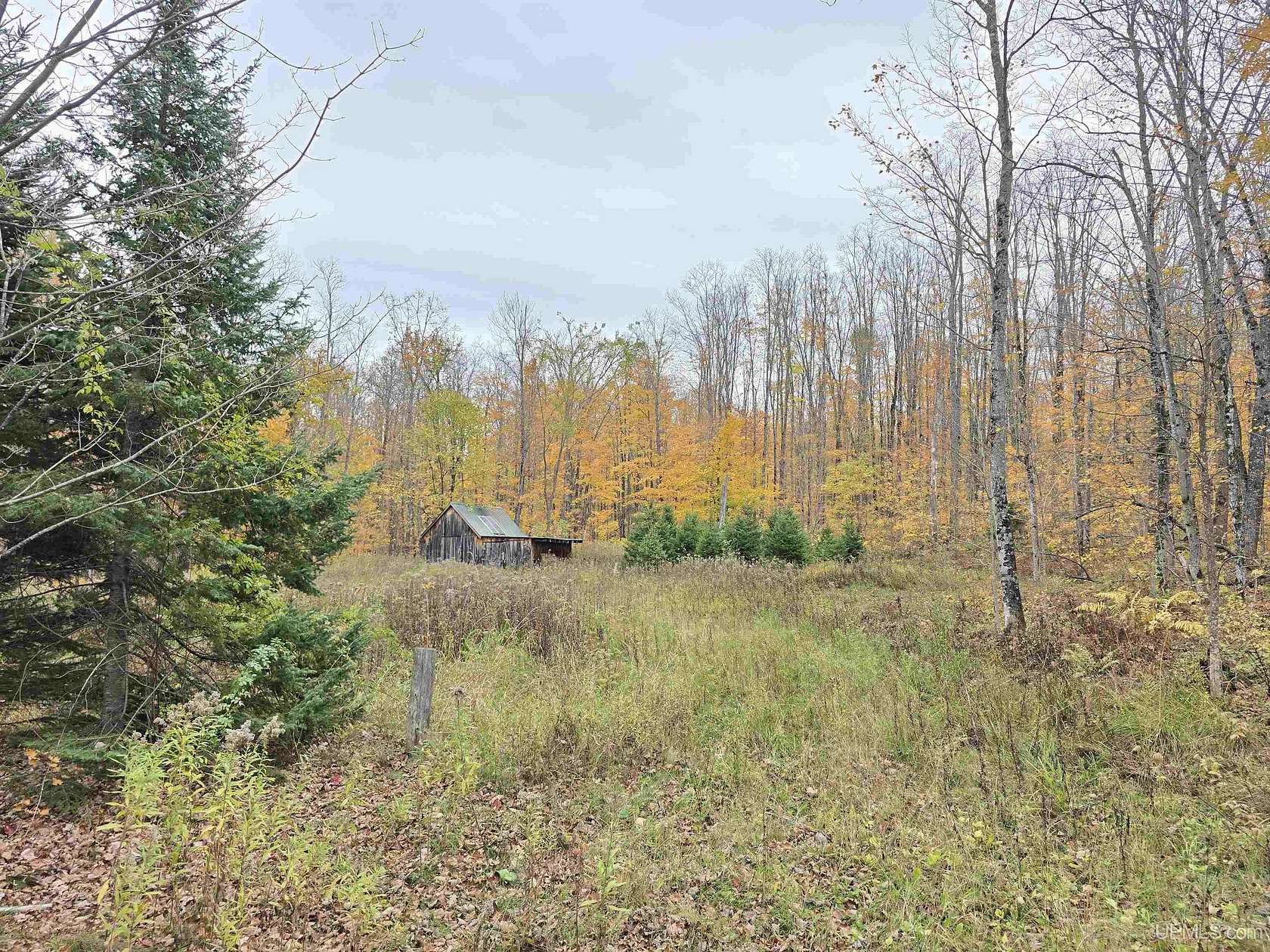 30.5 Acres of Recreational Land for Sale in Nisula, Michigan