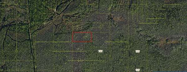 1.27 Acres of Land for Sale in St. Cloud, Florida