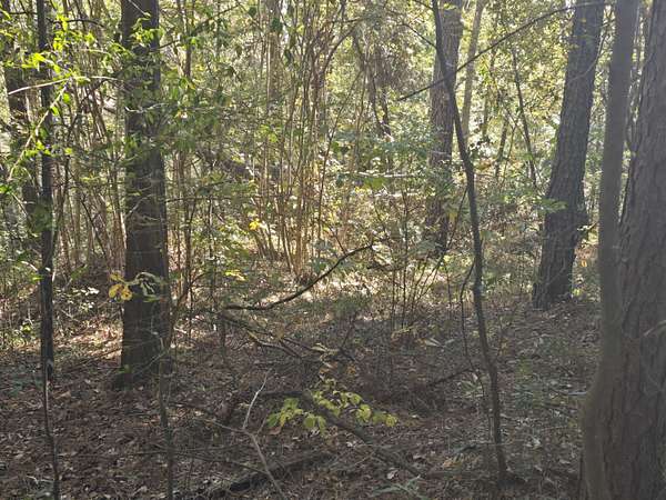22.2 Acres of Recreational Land for Sale in Augusta, Georgia