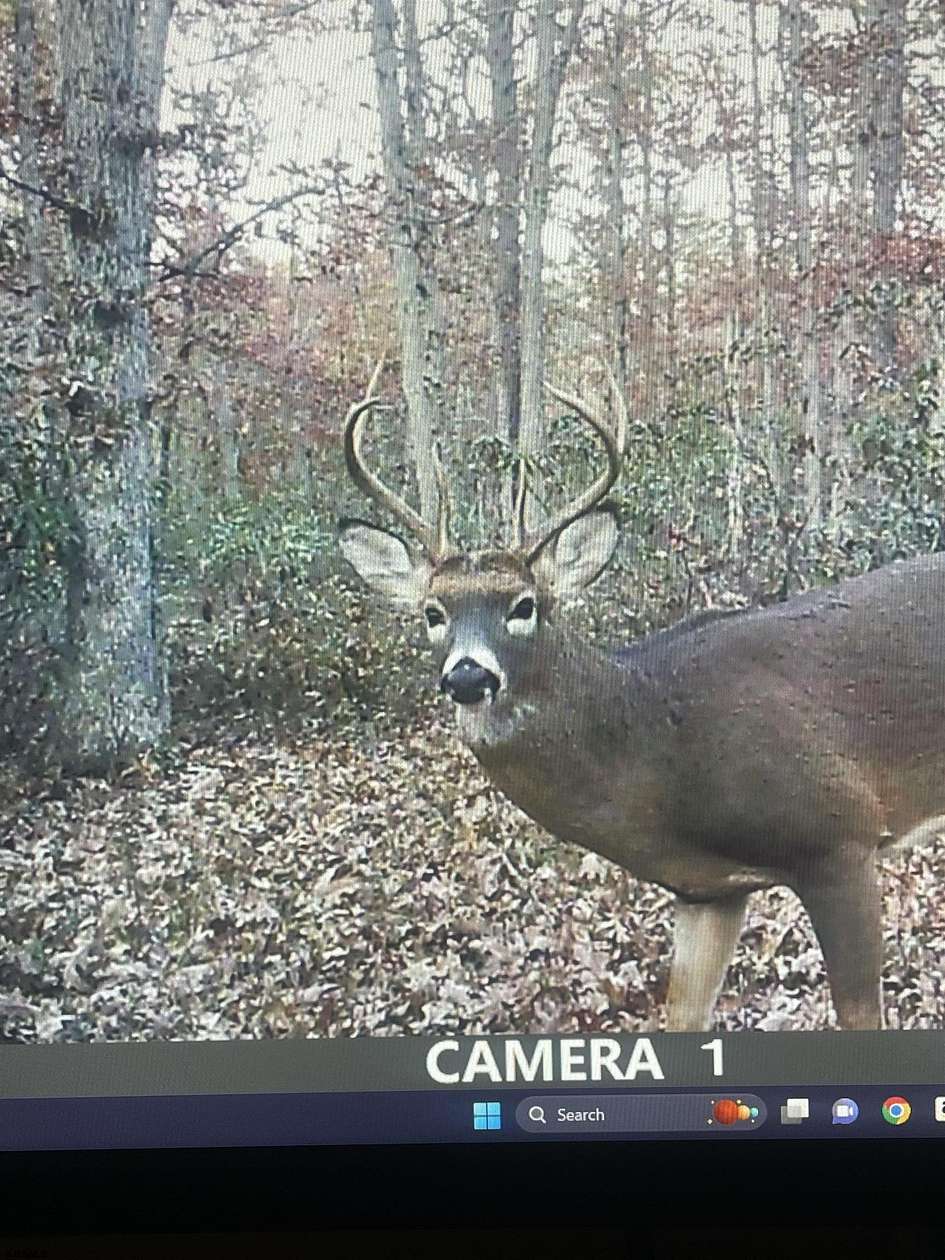 18.9 Acres of Recreational Land for Sale in Hammonton, New Jersey