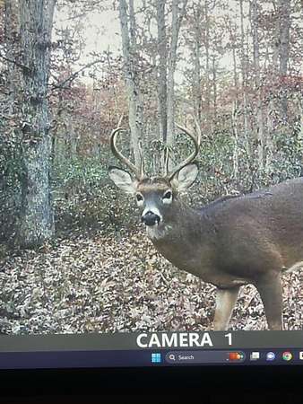 18.9 Acres of Recreational Land for Sale in Hammonton, New Jersey