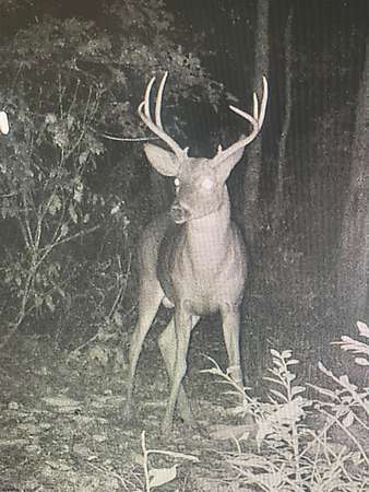 18.9 Acres of Recreational Land for Sale in Hammonton, New Jersey