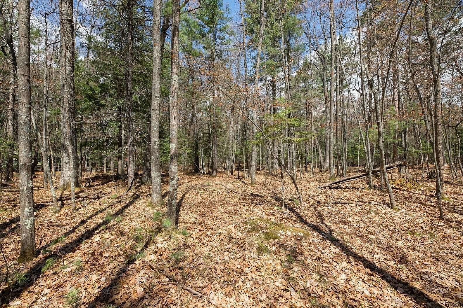 11.4 Acres of Land for Sale in Eagle River, Wisconsin