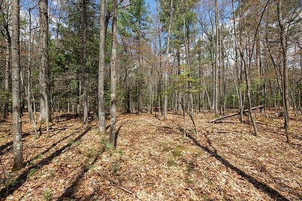 11.4 Acres of Land for Sale in Eagle River, Wisconsin