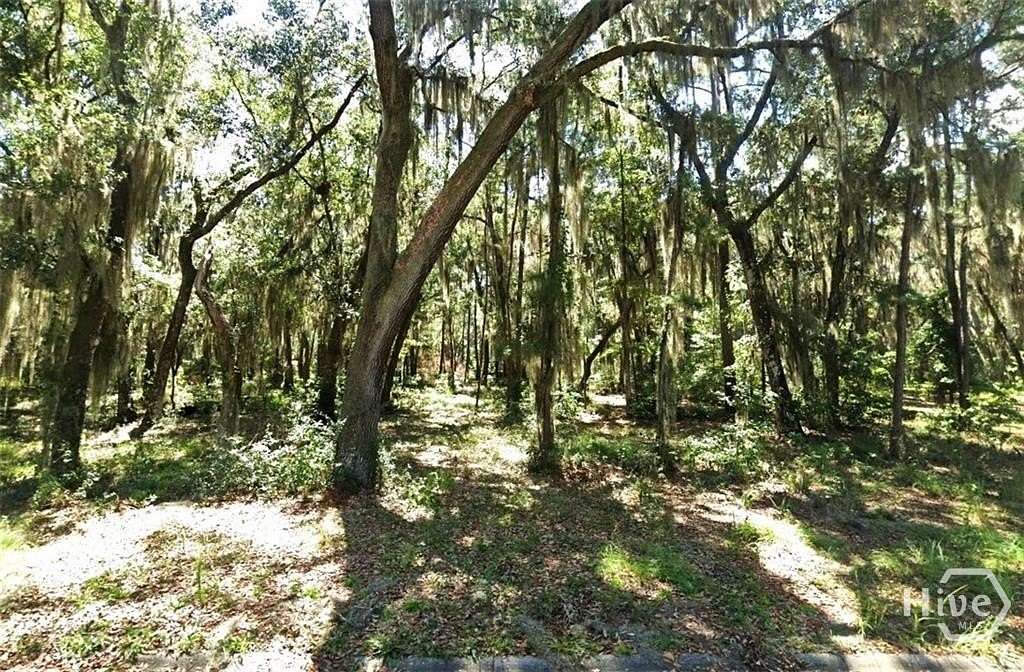3 Acres of Residential Land for Sale in Midway, Georgia