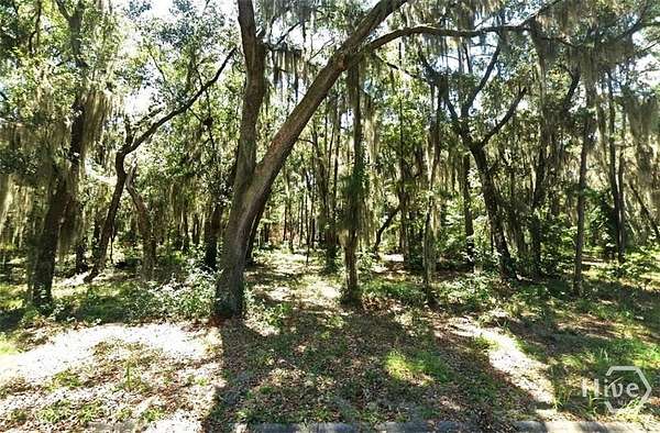 3 Acres of Residential Land for Sale in Midway, Georgia