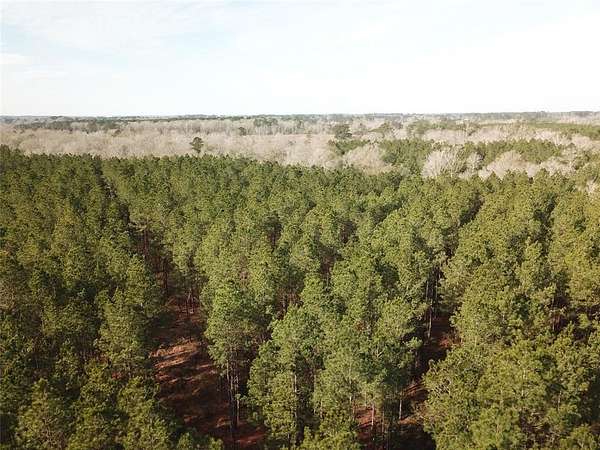 80 Acres of Recreational Land for Sale in Zwolle, Louisiana