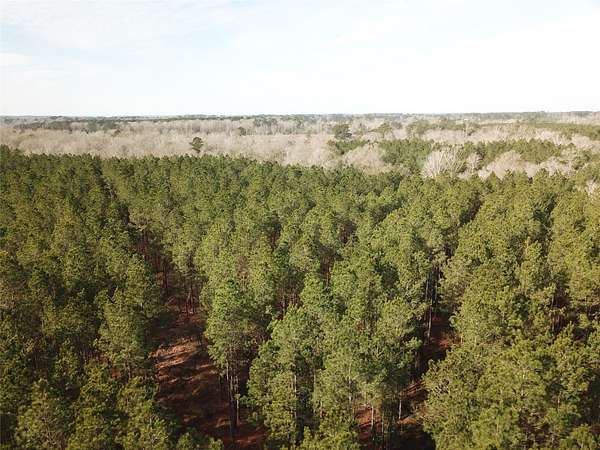 80 Acres of Recreational Land for Sale in Zwolle, Louisiana