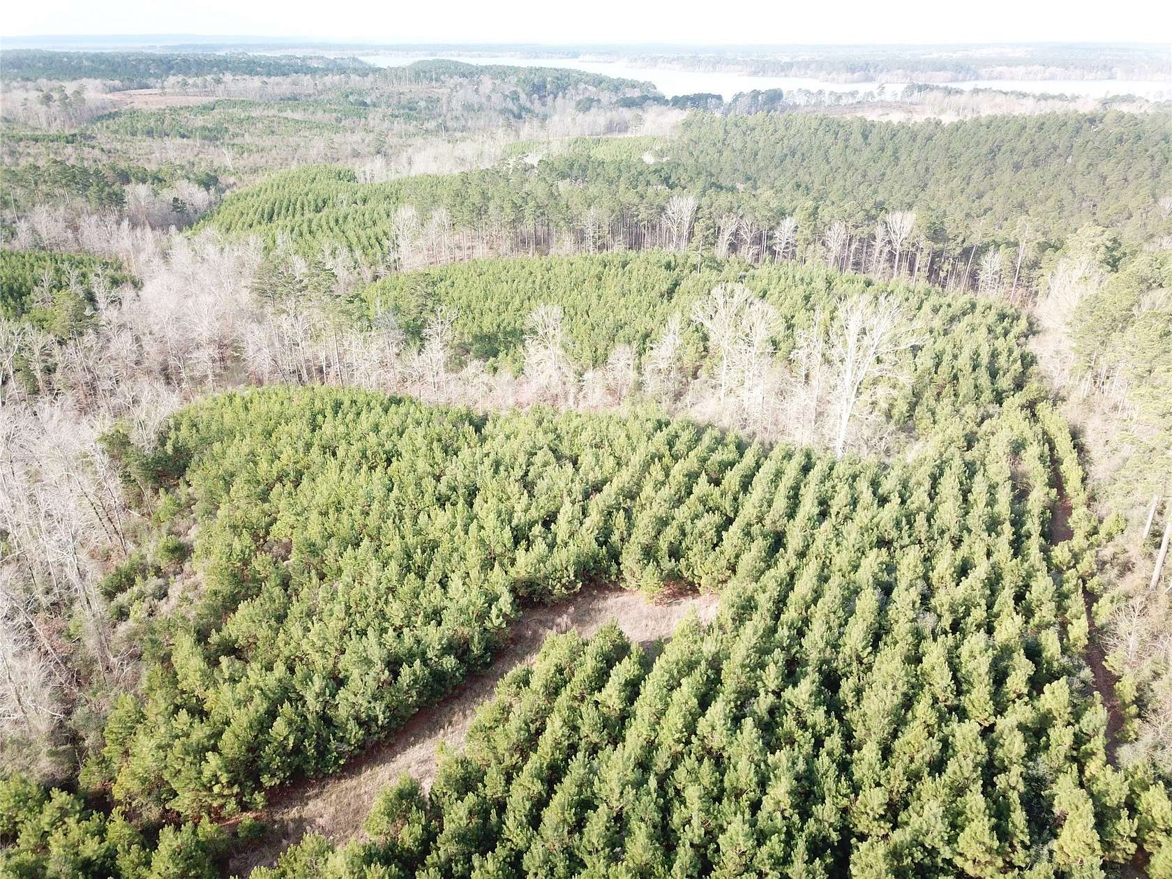 60 Acres of Recreational Land for Sale in Zwolle, Louisiana