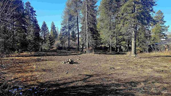 0.48 Acres of Land for Sale in Weippe, Idaho