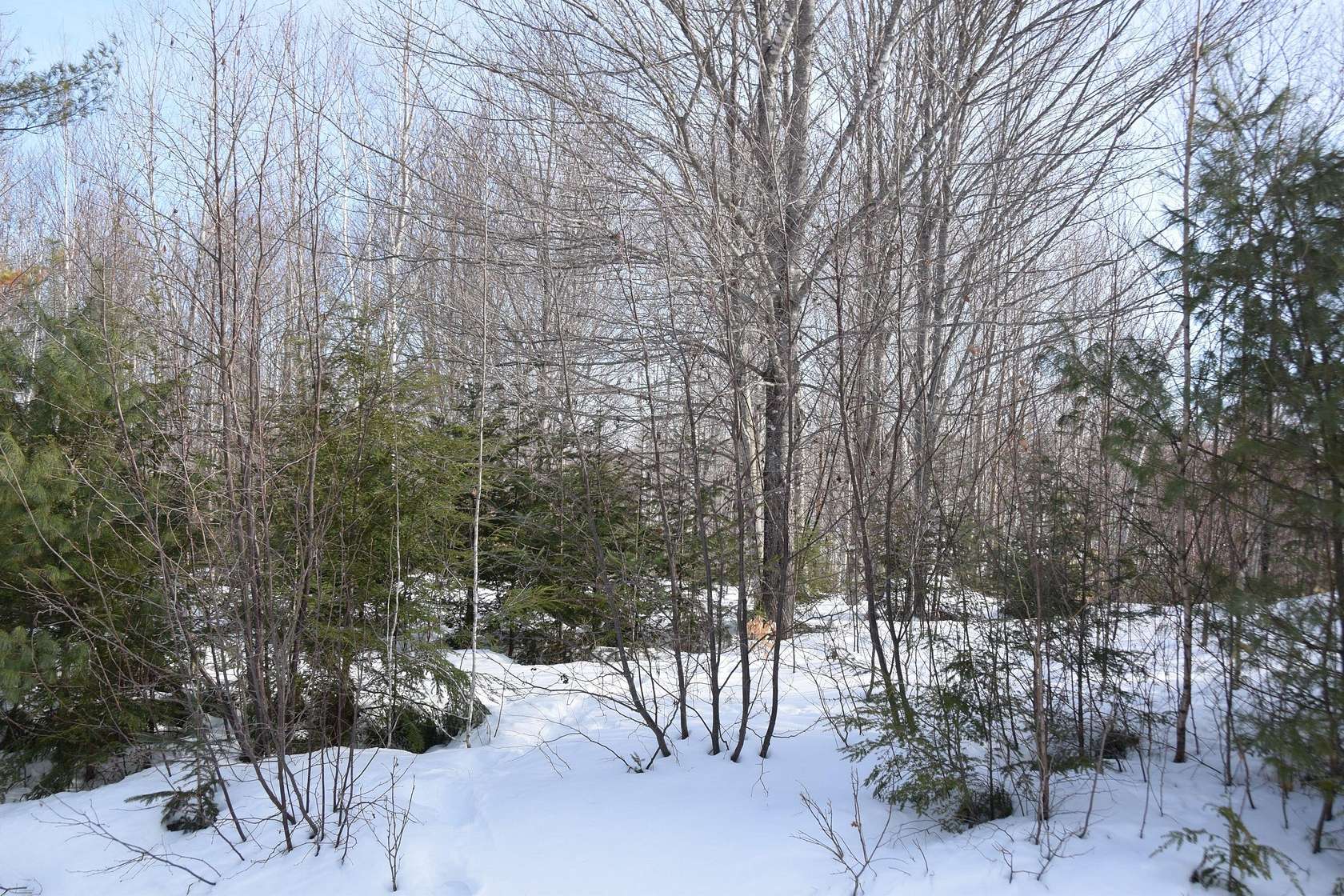 5 Acres of Residential Land for Sale in Embden, Maine