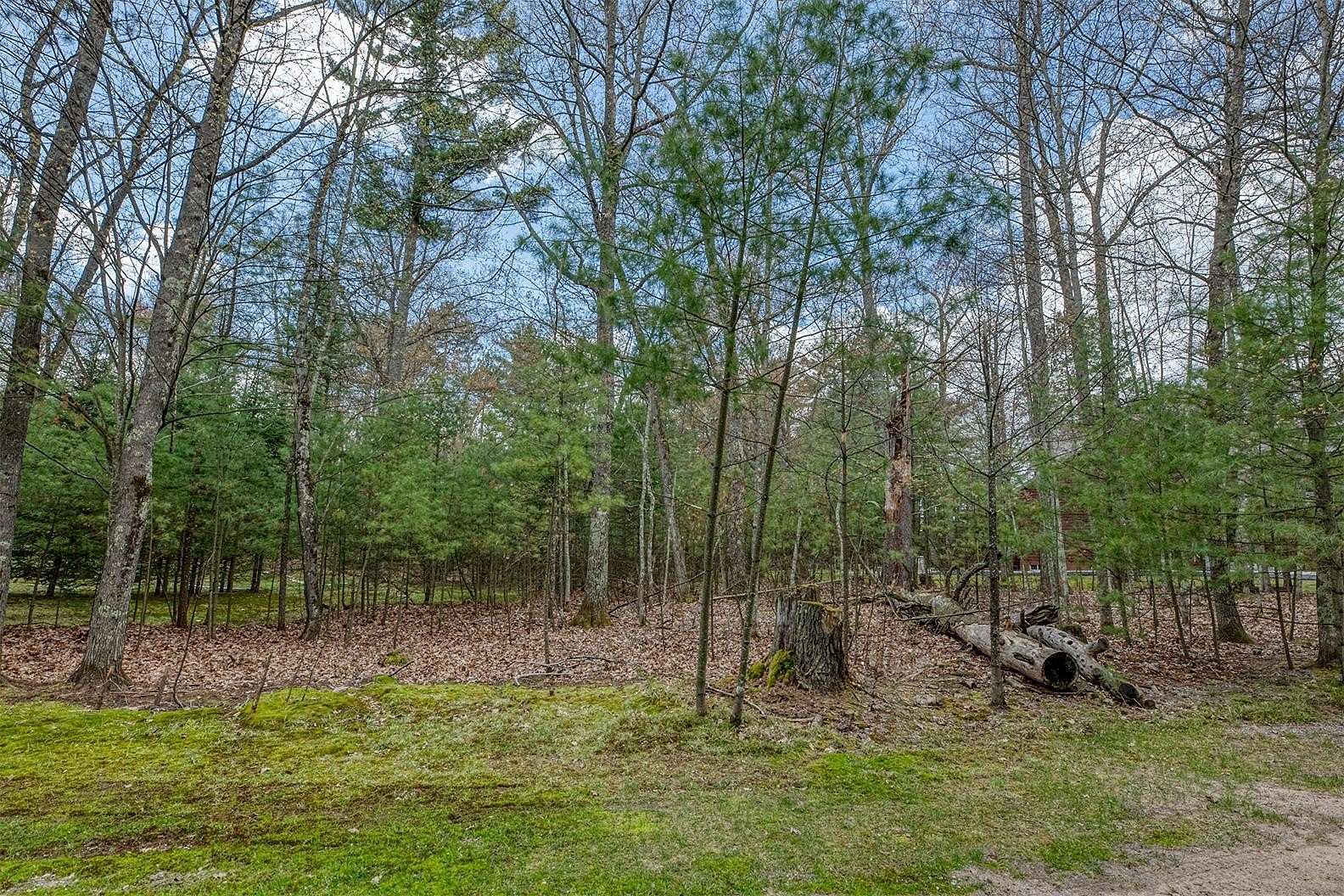 11.4 Acres of Land for Sale in Eagle River, Wisconsin