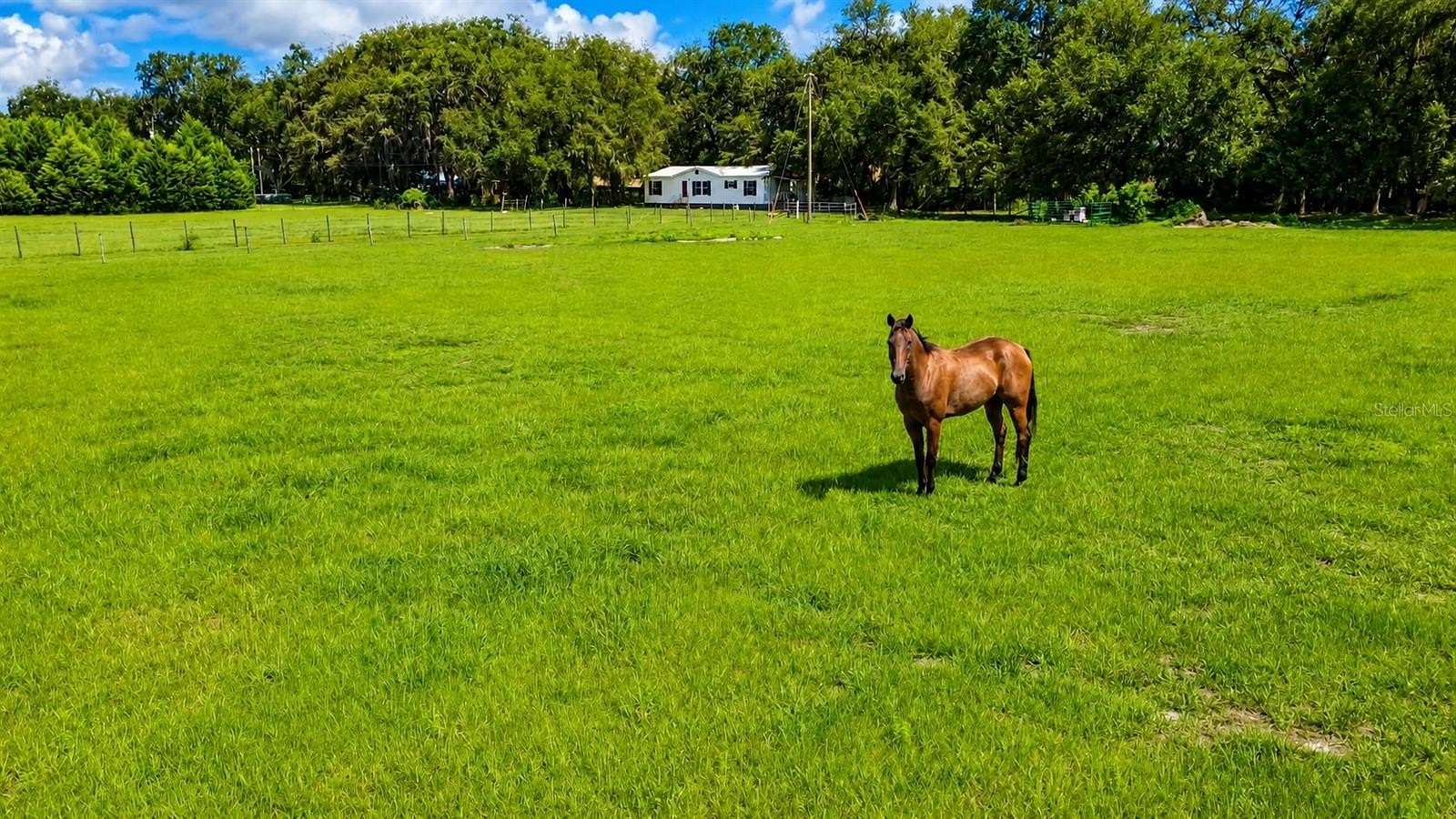 5 Acres of Land with Home for Sale in Webster, Florida