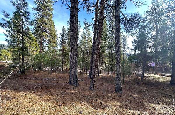 0.22 Acres of Land for Sale in Garden Valley, Idaho