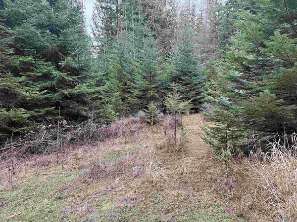 0.44 Acres of Land for Sale in Worley, Idaho