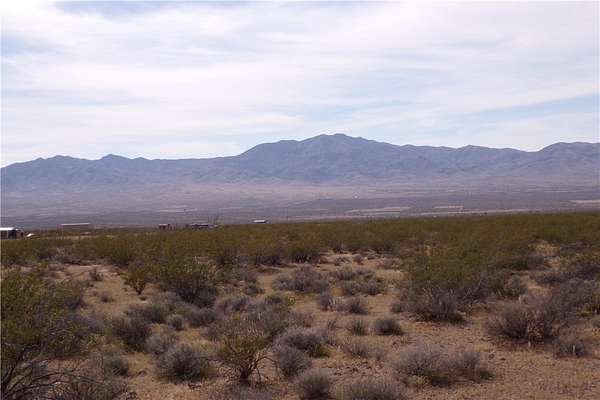 1.25 Acres of Residential Land for Sale in Dolan Springs, Arizona