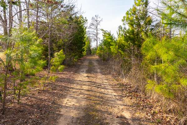 82 Acres of Recreational Land for Sale in Charlotte Court House, Virginia