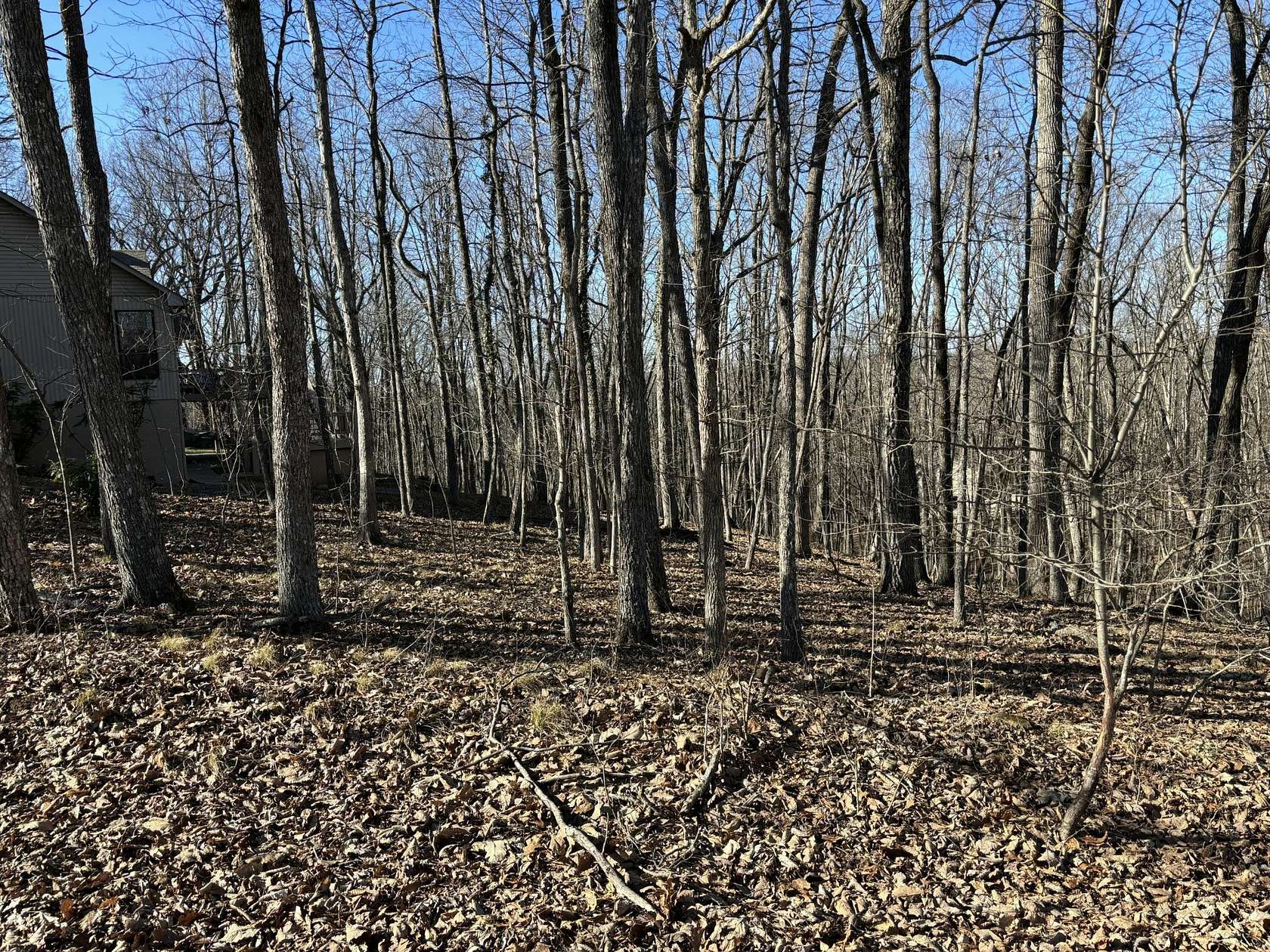 0.27 Acres of Residential Land for Sale in Crossville, Tennessee