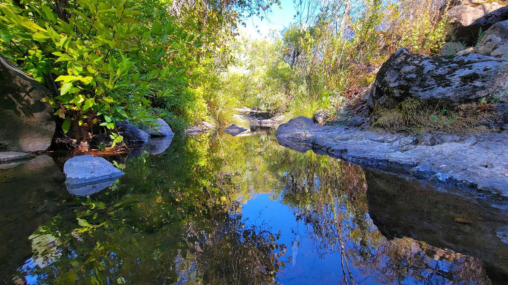 10.4 Acres of Land for Sale in Shingletown, California