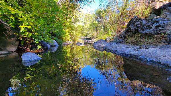 10.4 Acres of Land for Sale in Shingletown, California