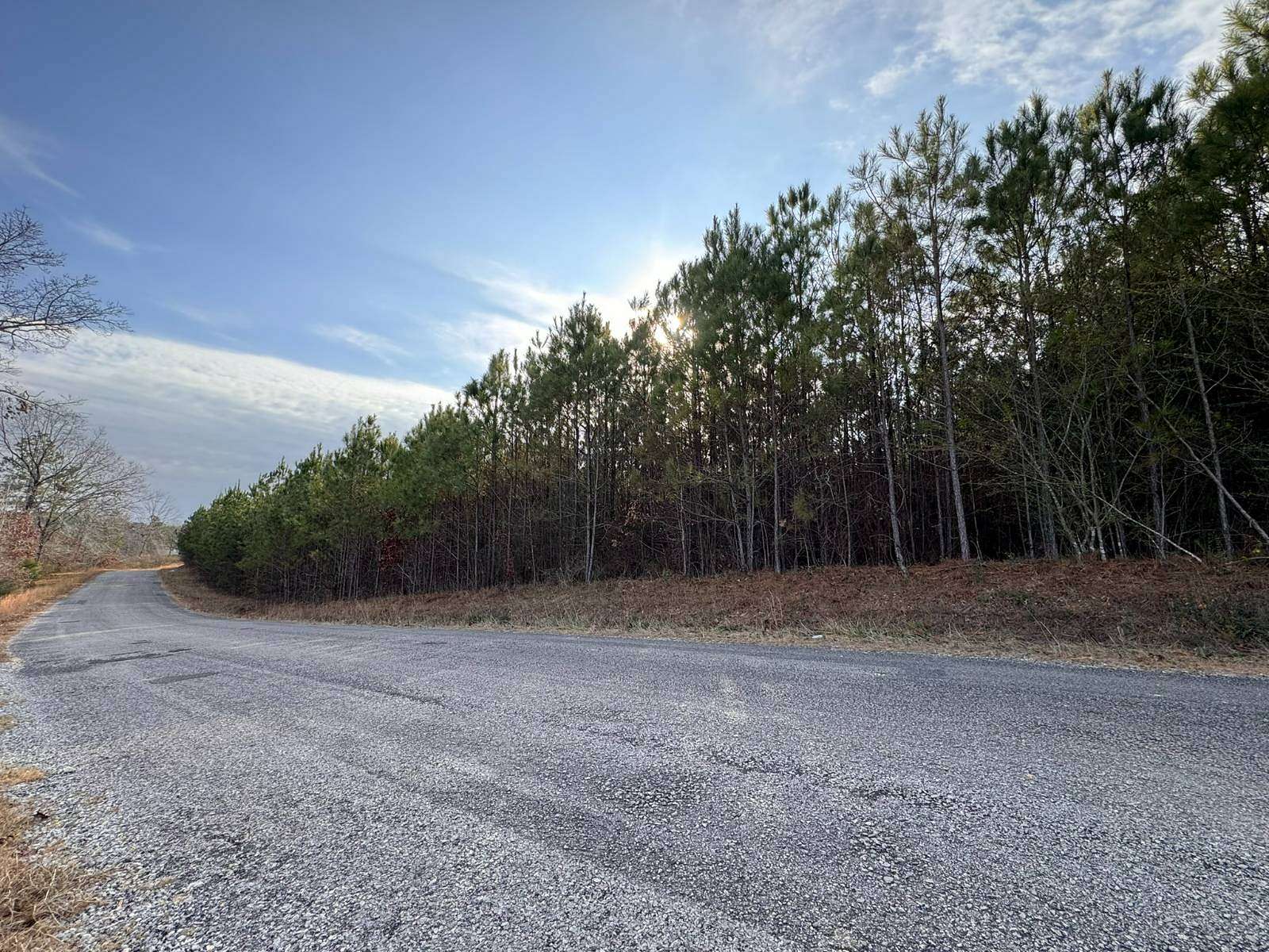 8 Acres of Land for Sale in Haleyville, Alabama