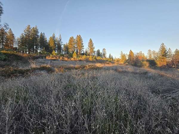 60 Acres of Land for Sale in Oak Run, California