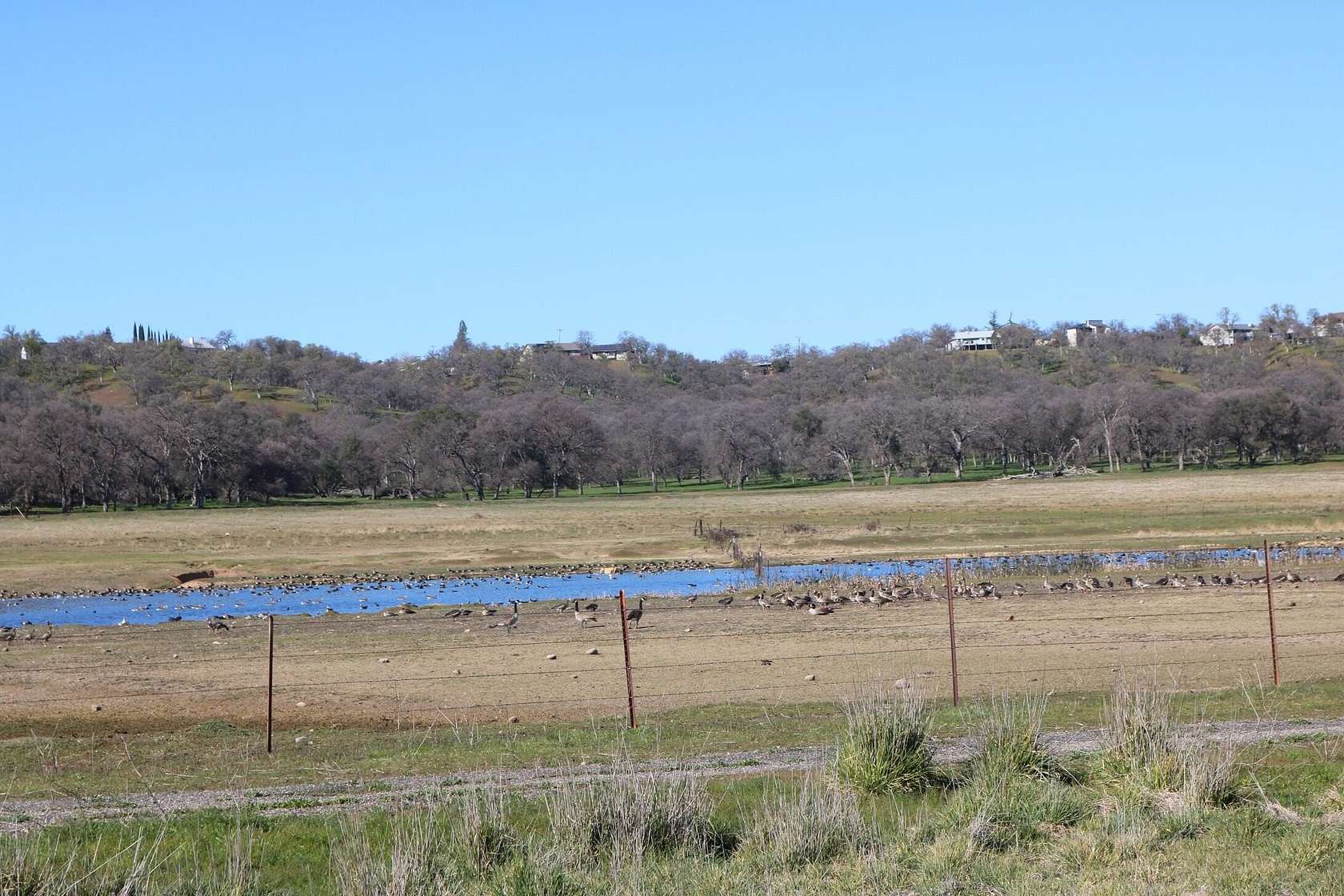 0.24 Acres of Residential Land for Sale in Cottonwood, California