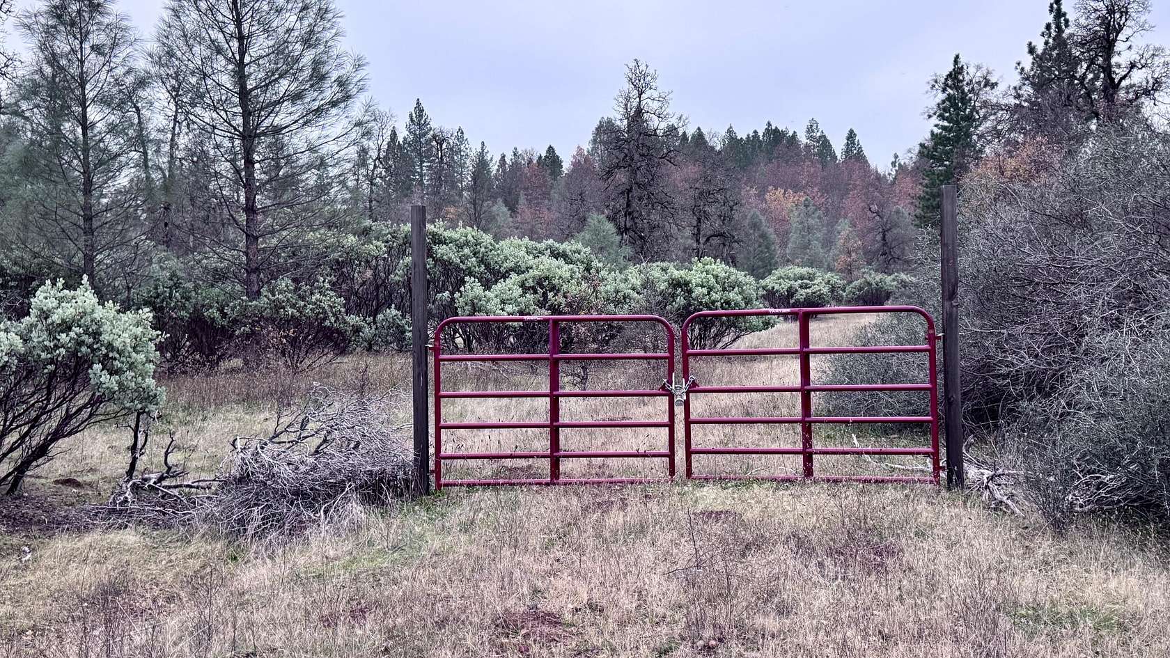 15.8 Acres of Land for Sale in Montgomery Creek, California