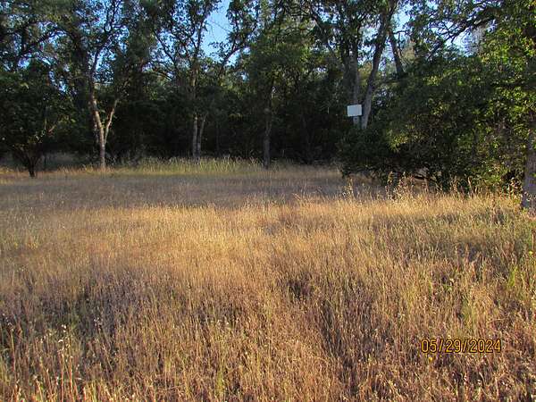 1.66 Acres of Residential Land for Sale in Corning, California