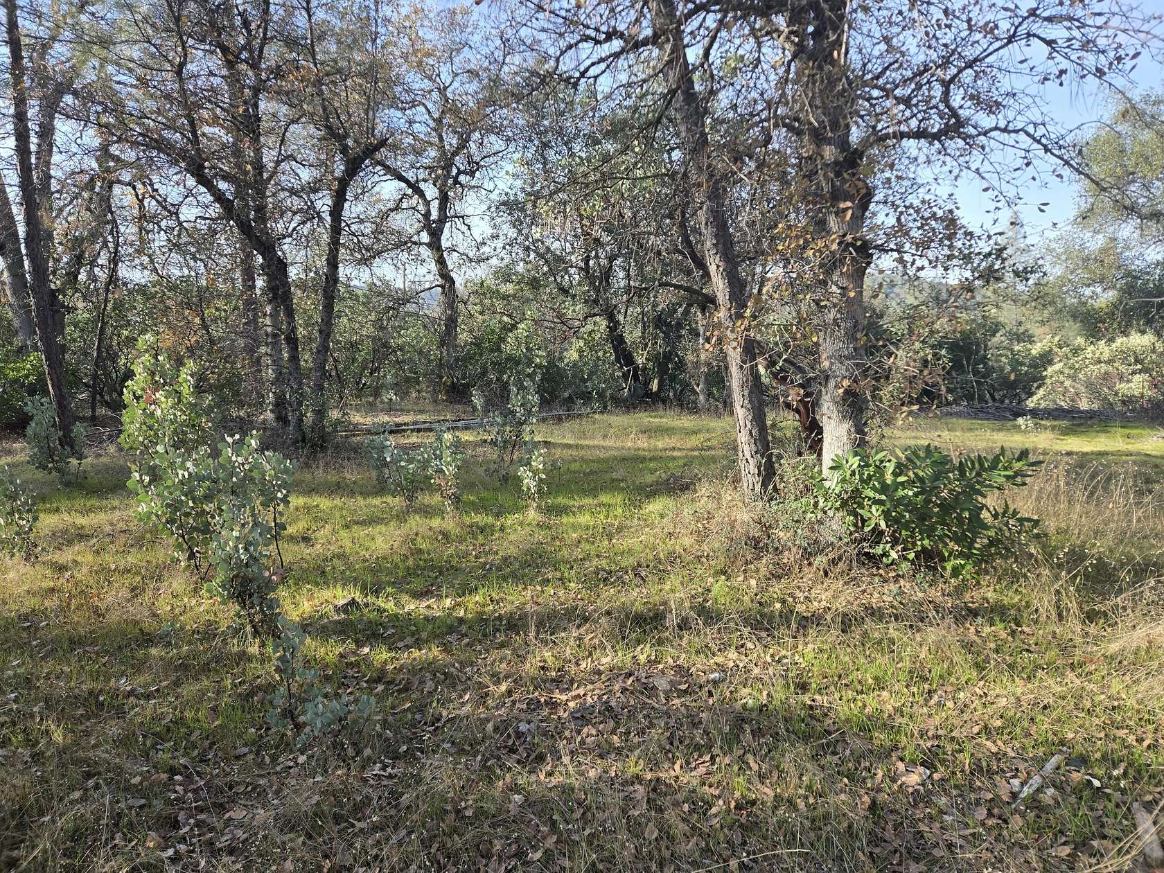 11.8 Acres of Land for Sale in Redding, California