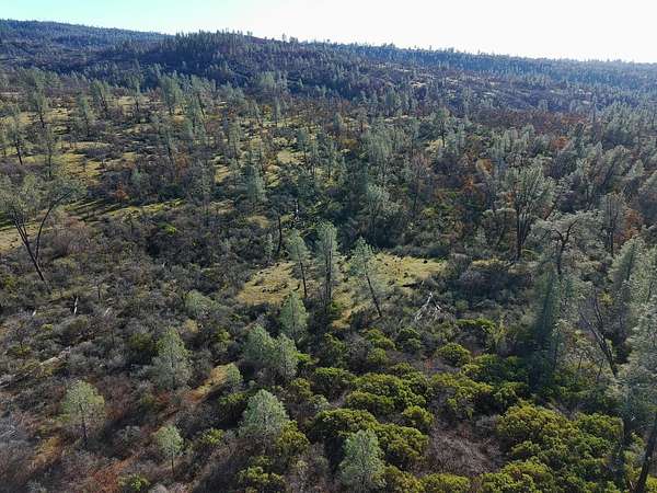 34.5 Acres of Recreational & Residential Land for Sale in Shingletown, California