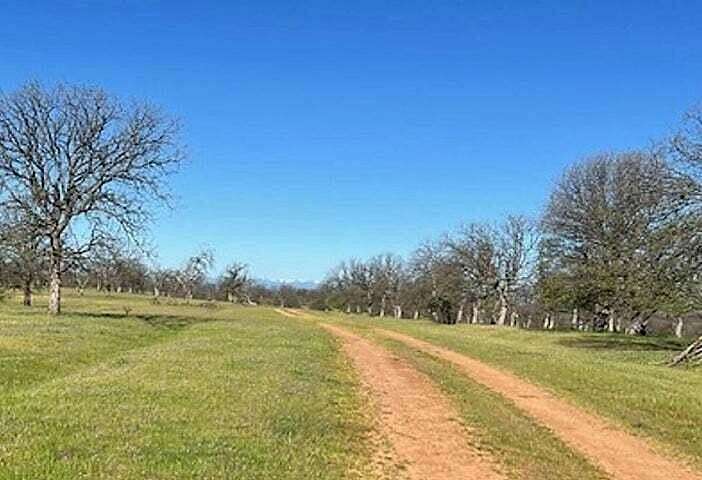 41.5 Acres of Agricultural & Residential Land for Sale in Cottonwood, California