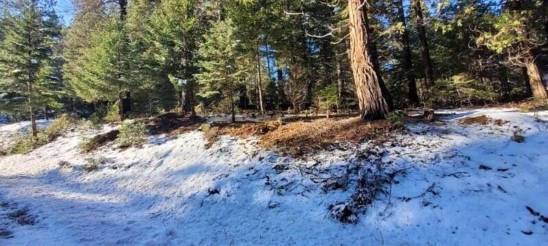 1 Acre of Residential Land for Sale in Mount Shasta, California