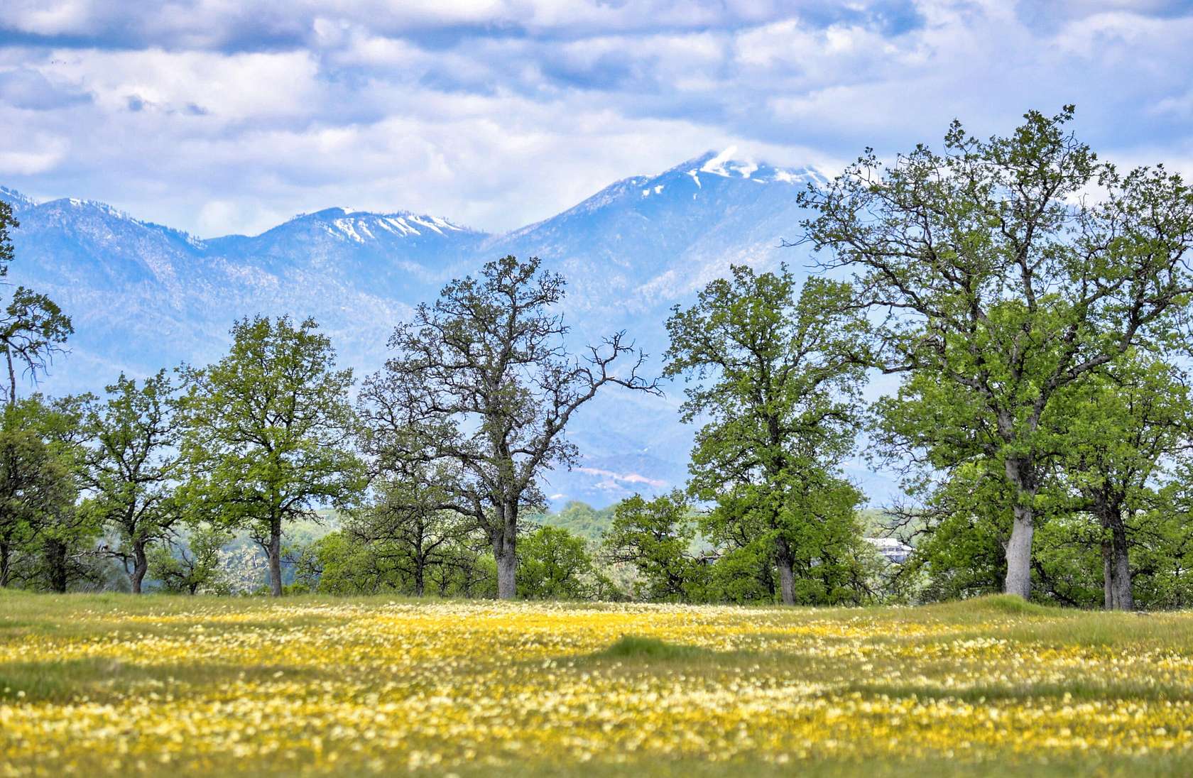 10.1 Acres of Land for Sale in Palo Cedro, California