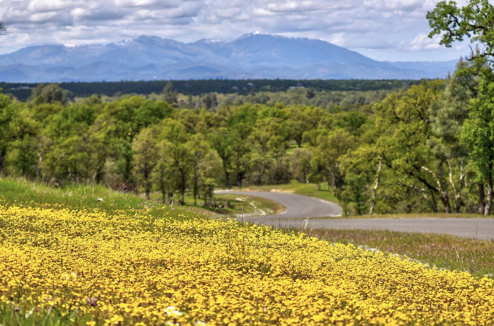 10.2 Acres of Land for Sale in Palo Cedro, California