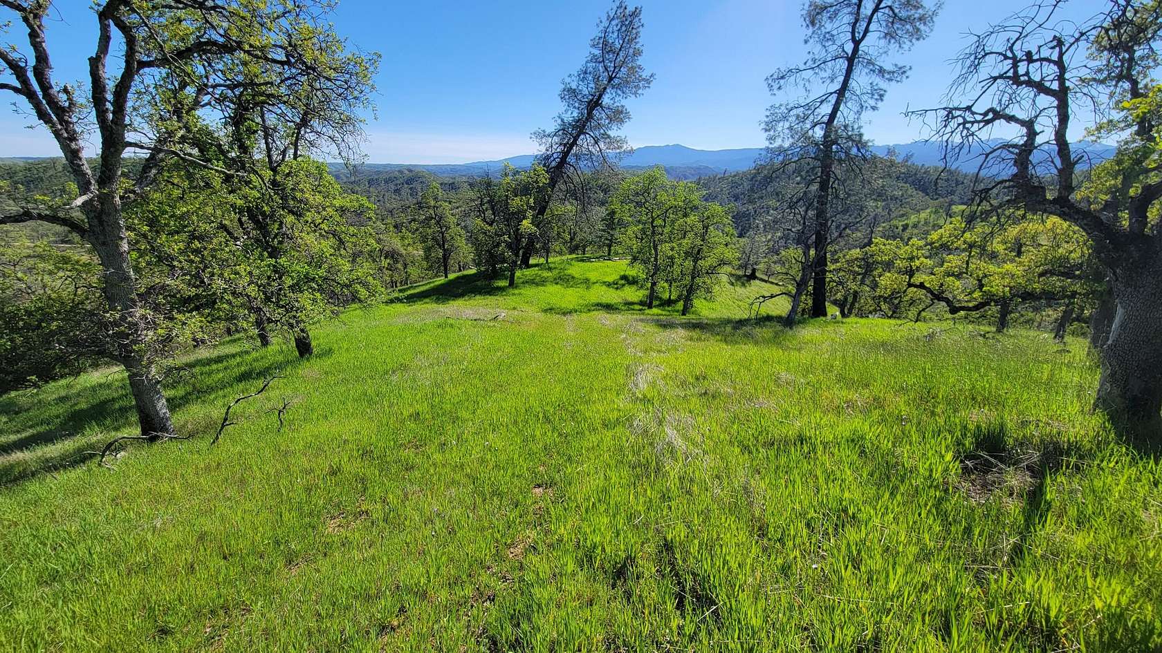 40 Acres of Recreational Land for Sale in Ono, California