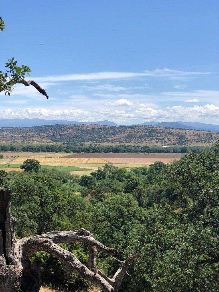 0.41 Acres of Land for Sale in Cottonwood, California